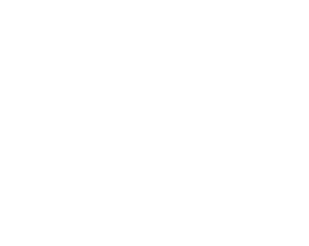 Apollo pickleball logo and white APOLLO wordmark, tagline Made for the modern game.